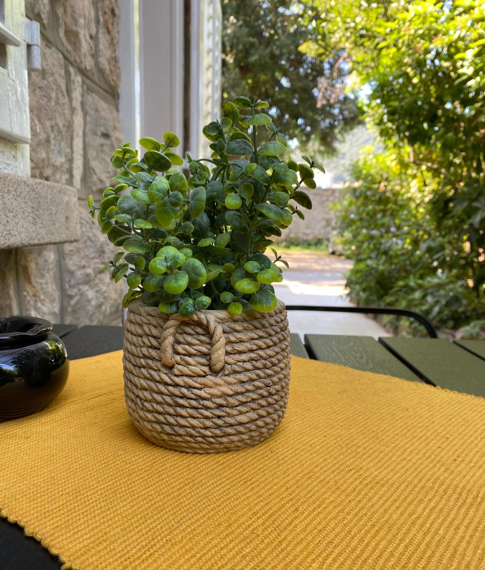 Apartment Mario Dubrovnik Extérieur photo
